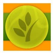 Greenwood International School logo