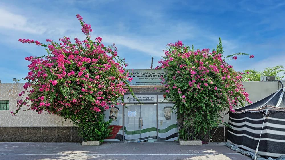 مدرسة الأهلية الخيرية الخاصة - فرع الفلج - العزرة