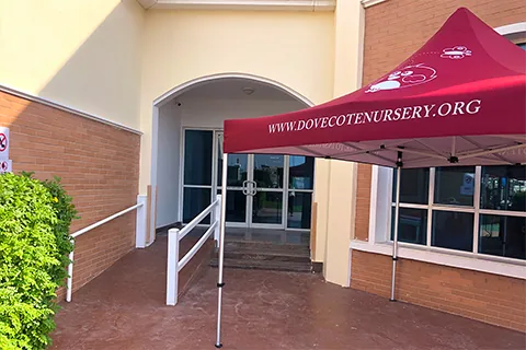 Dovecote Nursery - Branch