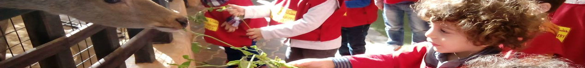 Future Stars Nursery-edcare.ae